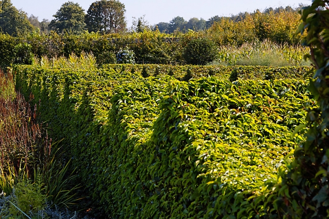Chateau du Champ de Bataille-062
